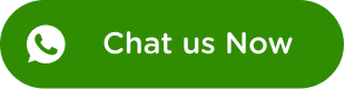 Chat us Now
